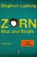 Stephan Ludwig - Zorn 8 - Blut und Strafe, Häftad