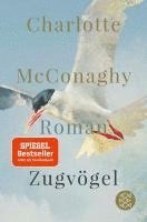 bokomslag Zugvögel