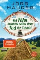 bokomslag Bei Föhn brummt selbst dem Tod der Schädel