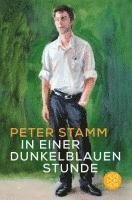 Peter Stamm - In einer dunkelblauen Stunde, Häftad