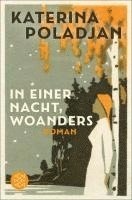 bokomslag In einer Nacht, woanders