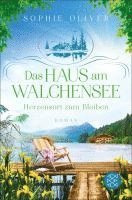 bokomslag Das Haus am Walchensee