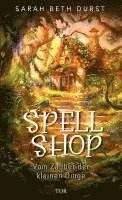 Sarah Beth Durst - Spellshop, Inbunden