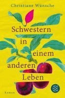 bokomslag Schwestern in einem anderen Leben