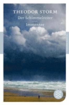 Theodor Storm - Der Schimmelreiter / Immensee, Häftad