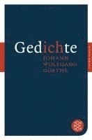 Gedichte 1