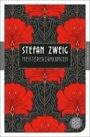 bokomslag Meistererzählungen