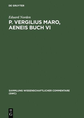 P. Vergilius Maro, Aeneis Buch VI 1
