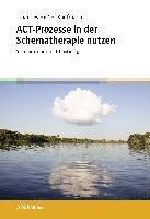 bokomslag ACT-Prozesse in der Schematherapie nutzen