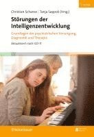 bokomslag Störungen der Intelligenzentwicklung