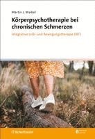 bokomslag Körperpsychotherapie bei chronischen Schmerzen