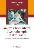 bokomslag Analytisch orientierte Psychotherapie in der Praxis