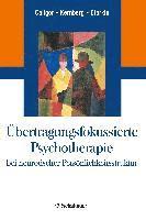 bokomslag Übertragungsfokussierte Psychotherapie bei neurotischer Persönlichkeitsstruktur