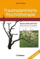 bokomslag Traumazentrierte Psychotherapie