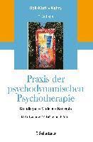 bokomslag Praxis der psychodynamischen Psychotherapie
