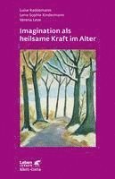 bokomslag Imagination als heilsame Kraft im Alter