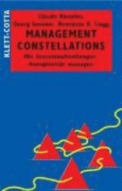 bokomslag Management Constellations