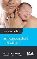 bokomslag Schwangerschaft und Geburt (Bindungspsychotherapie)