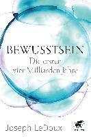 bokomslag Bewusstsein
