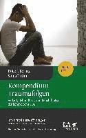 bokomslag Kompendium Traumafolgen (Traumafolgestörungen Bd. 2)