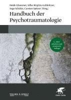 bokomslag Handbuch der Psychotraumatologie