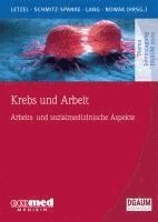 bokomslag Krebs und Arbeit