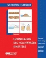 bokomslag Fachwissen Feuerwehr. Grundlagen Hochwassereinsatz