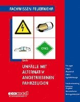 bokomslag Unfälle mit alternativ angetriebenen Fahrzeugen