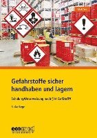 bokomslag Gefahrstoffe sicher handhaben und lagern