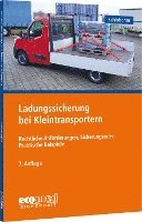 bokomslag Ladungssicherung bei Kleintransportern