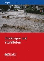 bokomslag Starkregen und Sturzfluten