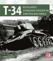 T 34 1