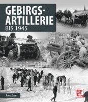 bokomslag Gebirgsartillerie