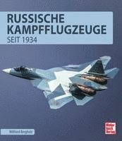 Russische Kampfflugzeuge 1