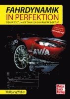 bokomslag Fahrdynamik in Perfektion
