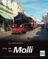 Alles über den Molli 1