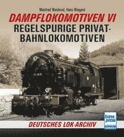 bokomslag Dampflokomotiven VI