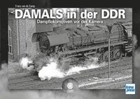 bokomslag Damals in der DDR