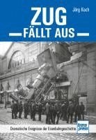 bokomslag Zug fällt aus