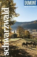 bokomslag DuMont Reise-Taschenbuch Schwarzwald