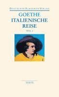 Johann Wolfgang Goethe, Christoph Michel, Hans-Georg Dewitz - Italienische Reise, Häftad