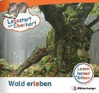 bokomslag Lesestart mit Eberhart - Wald erleben