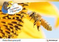 bokomslag Kamishibai mit Eberhart - Kleine Biene ganz groß - Set