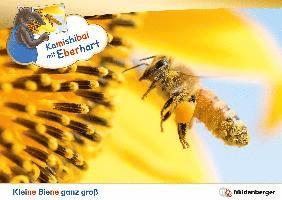 Kamishibai mit Eberhart - Kleine Biene ganz groß - Set 1