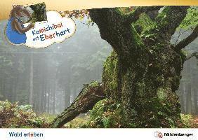 Kamishibai mit Eberhart - Wald erleben - Set 1