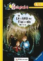 bokomslag Im Labyrinth der Finsternis