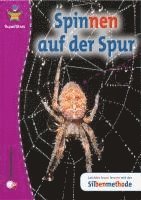 Sarah Love - SuperStars - Sachtexte, Häftad