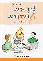 Lese- und Lernprofi 6 - Schülerarbeitsheft - silbierte Ausgabe