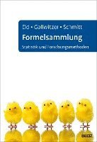 bokomslag Formelsammlung Statistik und Forschungsmethoden