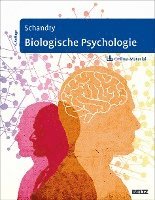 Biologische Psychologie 1